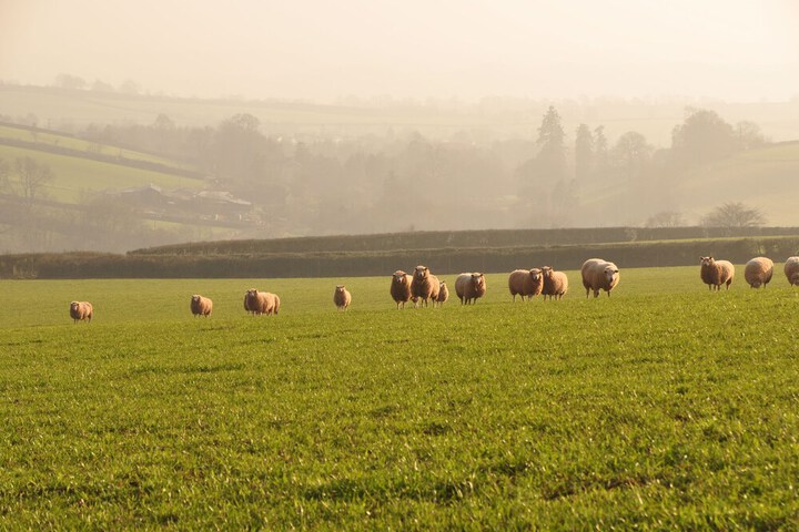 View from property