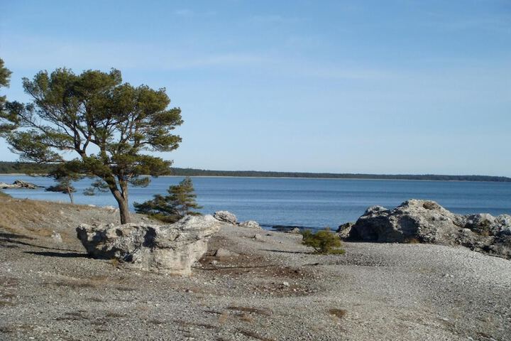 Beach 64 of 70
