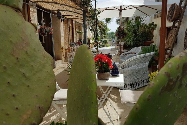 Terrace/Patio 21 of 32