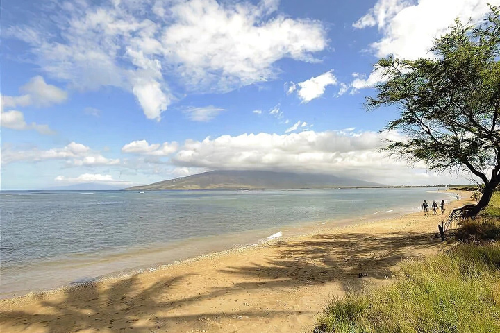 Beach 11 of 20