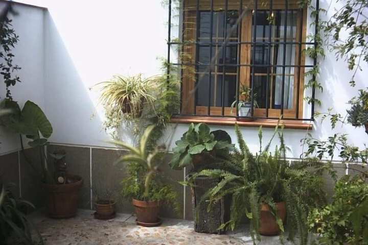 Property Grounds 52 of 58