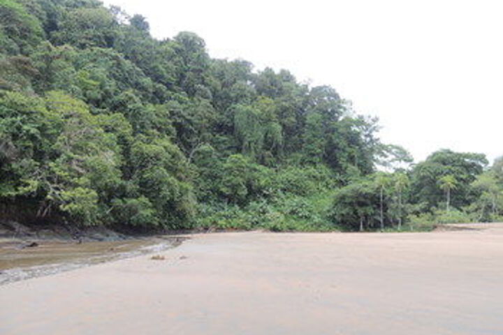 Beach 17 of 70