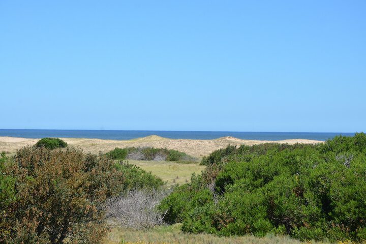 Beach 76 of 79