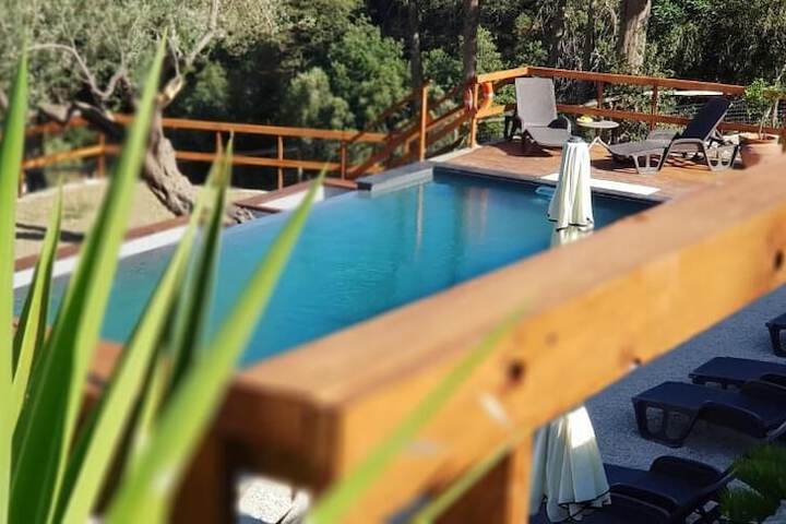 Pool 22 of 47