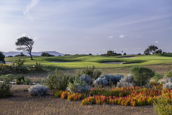 Golf 143 of 214
