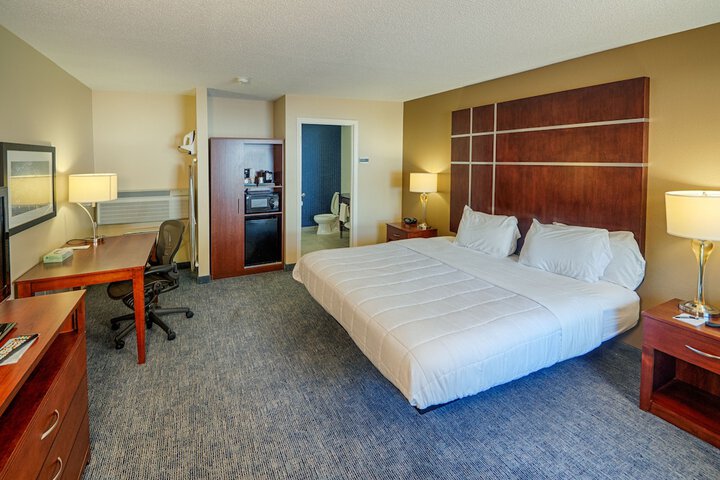 Deluxe King Bed (9 of 10)