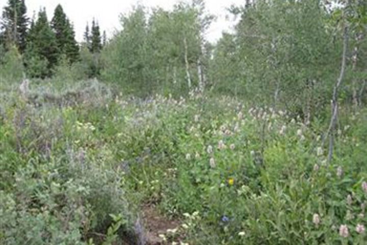 Property Grounds 2 of 34