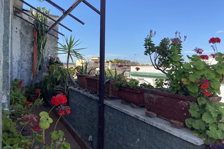Terrace/Patio 70 of 96