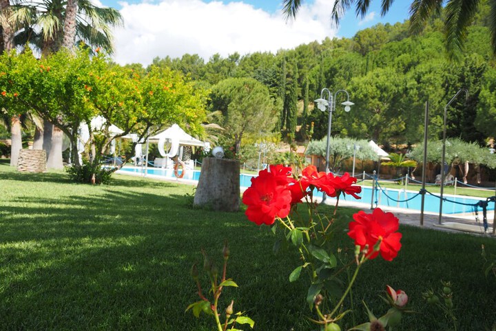 Pools & Facilities
