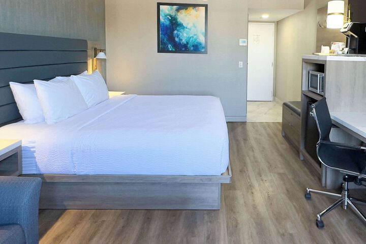 Standard 1 King Bed (12 of 30)