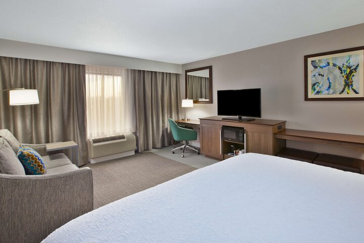 1 King Hearing Accessible with Sofa Bed (7 of 9)