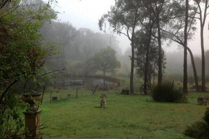 Hotel Exterior 4 of 7