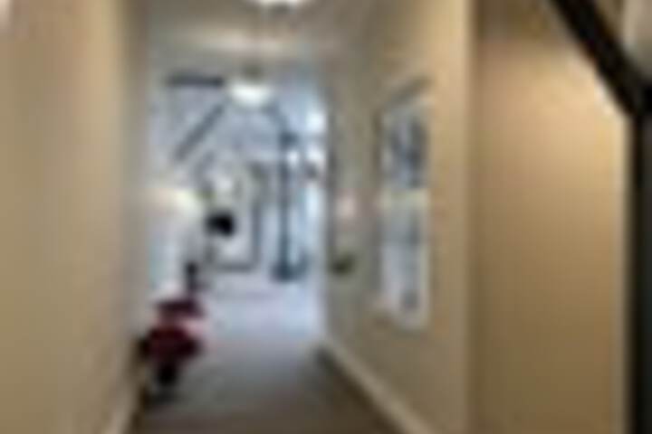 Ballroom/Hall 263 of 285