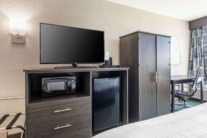 1 King Bed (6 of 15)