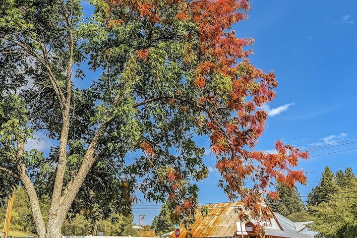 Childrens Activities 34 of 37