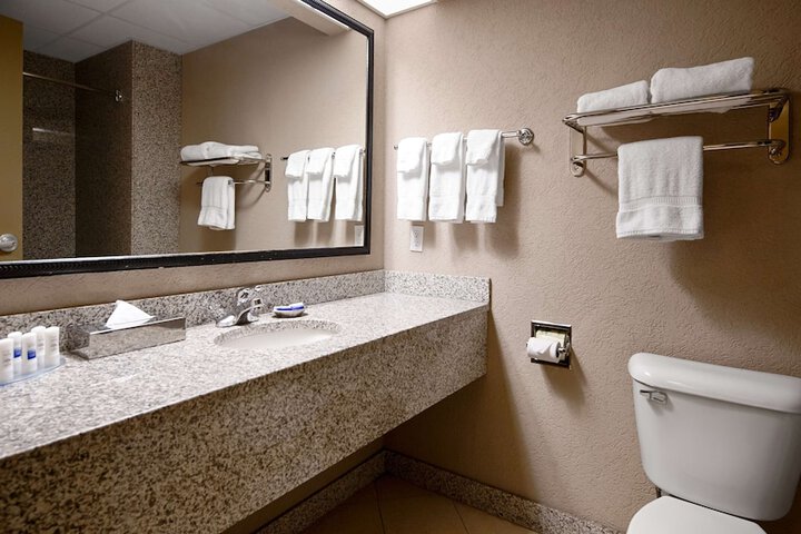 Accessible Suite King Bed Accessible Bathtub Microwave and Refrigerator WiFi Non S (28 of 39)