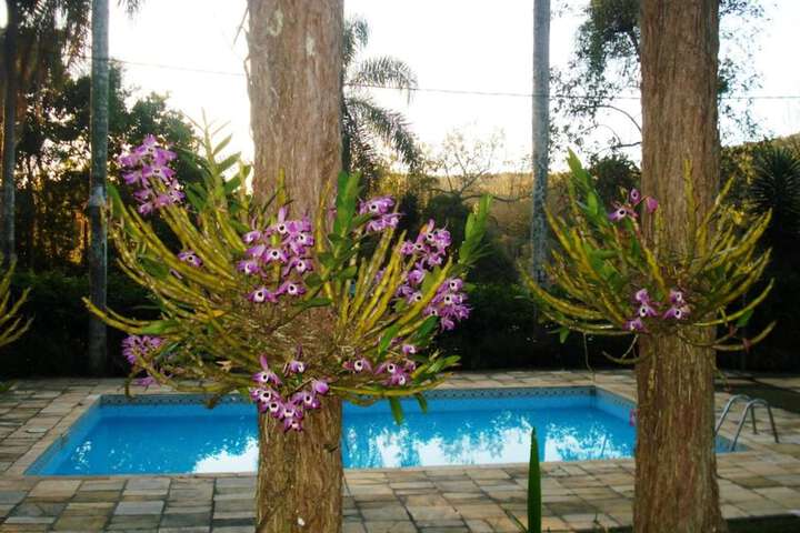 Pool 10 of 49