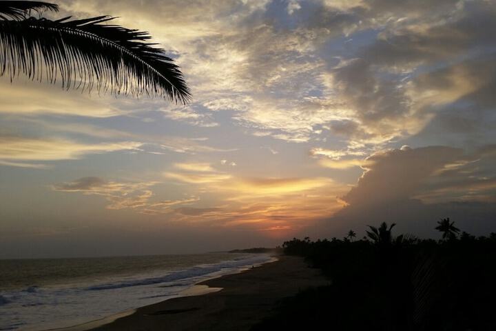 Beach 54 of 88