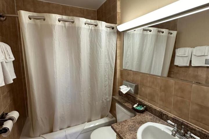 Deluxe Room 1 Queen Bed Refrigerator, Microwave (5 of 5)