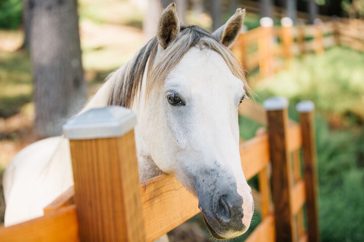 Hotel Exterior 98 of 101