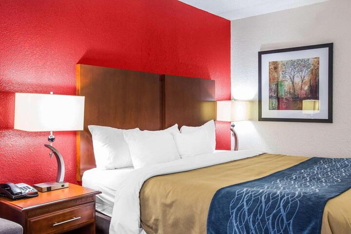 1 King Bed (12 of 17)