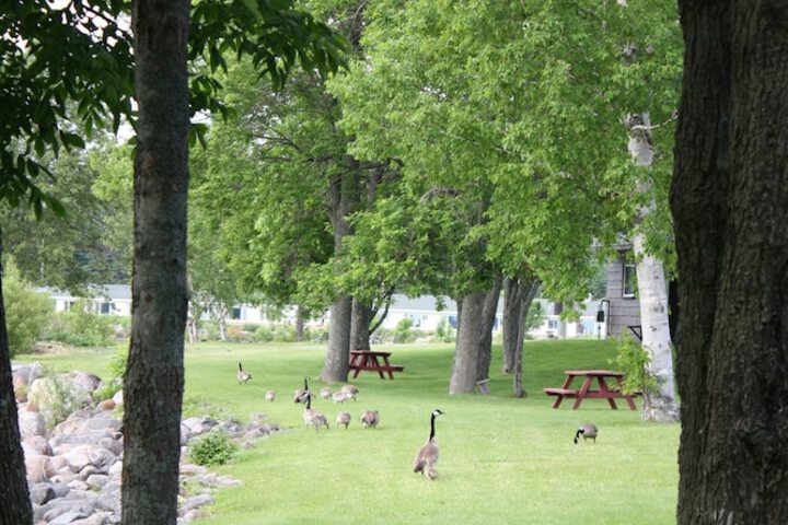 Hotel Exterior 82 of 105