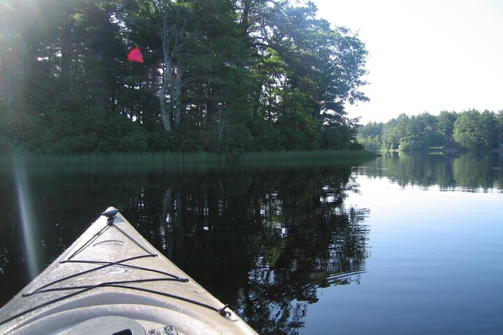 Property Grounds 28 of 50