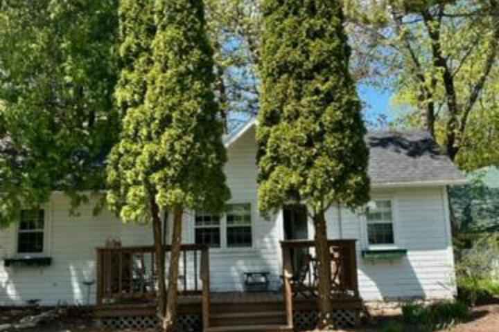 Photo 8