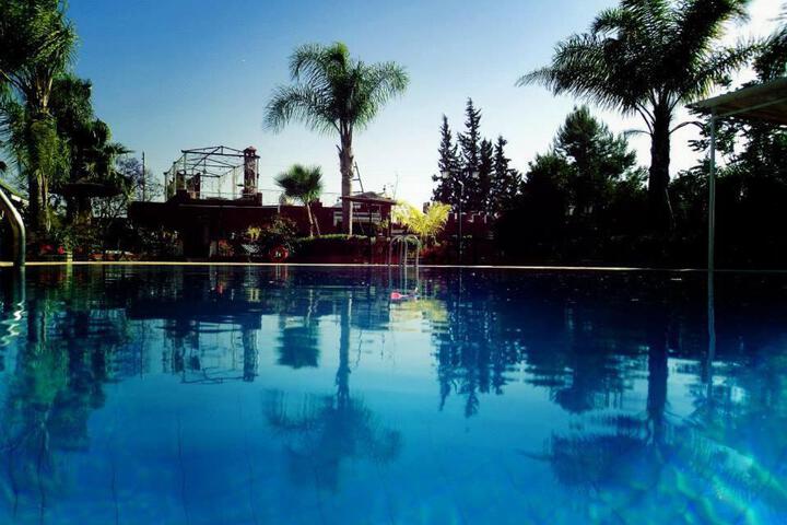 Image of Hotel Riad L Arganier D Or
