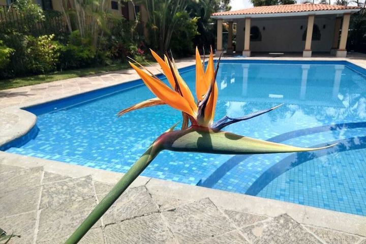 Hotel with Pool