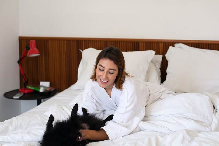 Pet Friendly 31 of 60