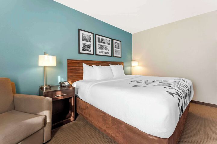 1 King Bed (5 of 20)