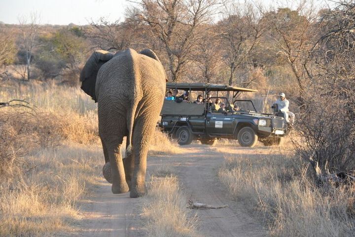 Ecotours