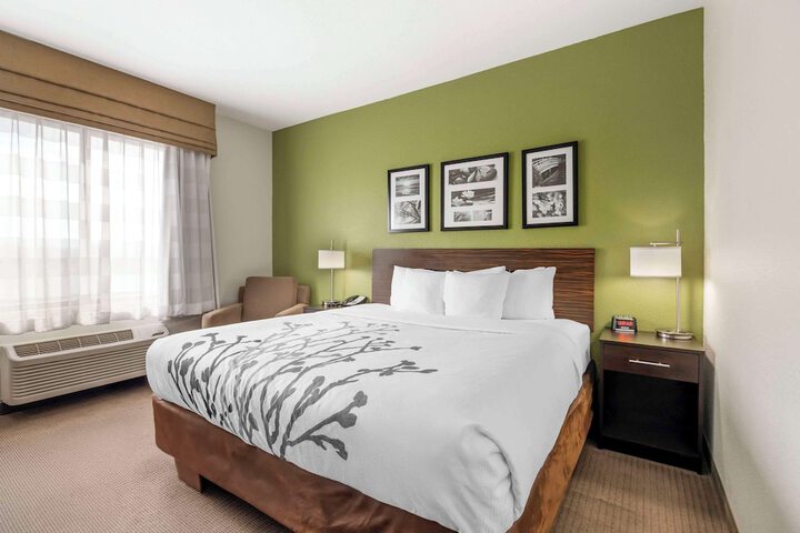 1 King Bed (15 of 38)
