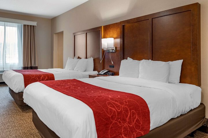 Suite (4 of 12)