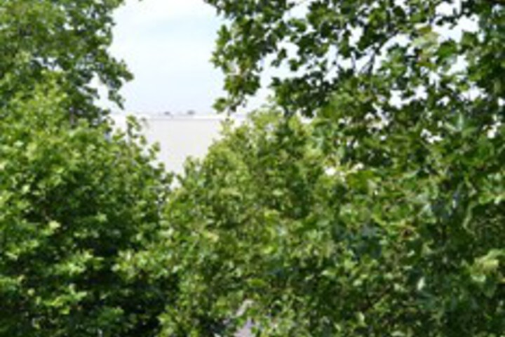 Hotel View 175 of 177