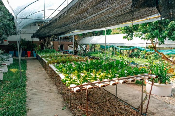 Photo 30