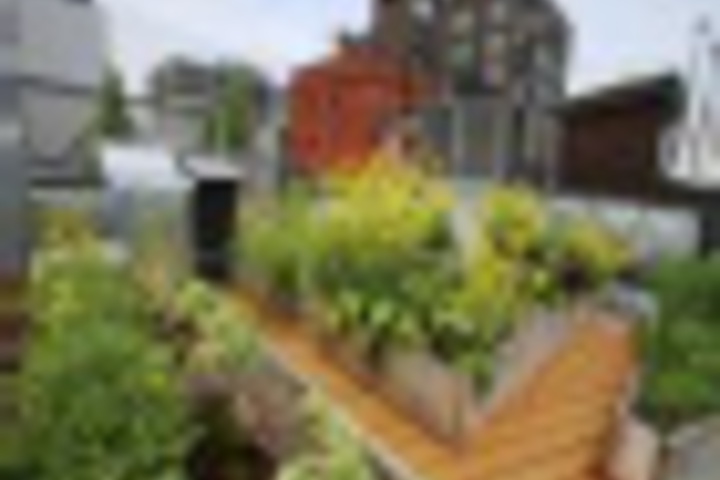 Terrace/Patio 39 of 420