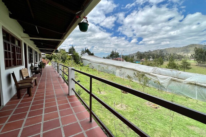 Terrace/Patio 20 of 41