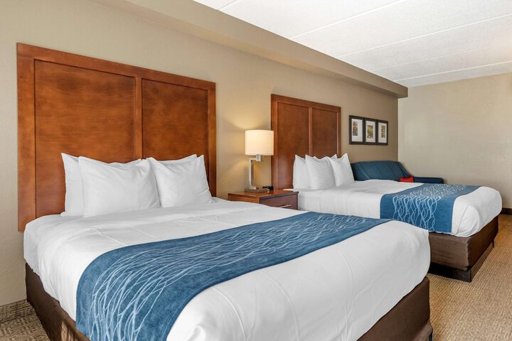 Business 2 Queen Beds Accessible (4 of 24)