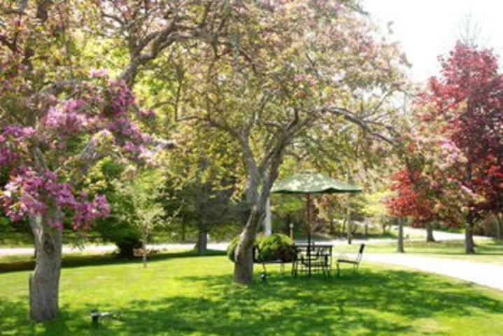 Property Grounds 25 of 27