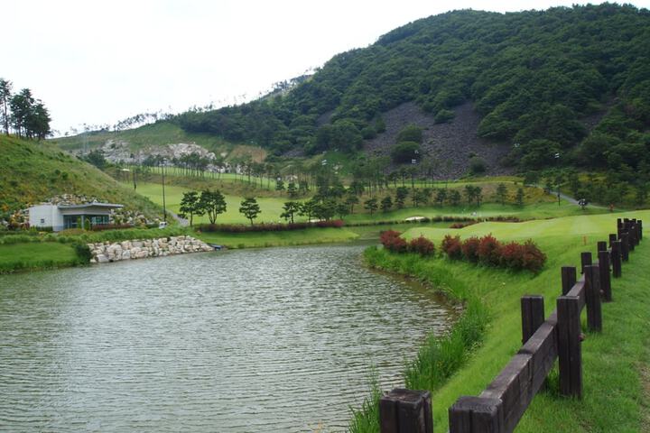 Golf 25 of 26