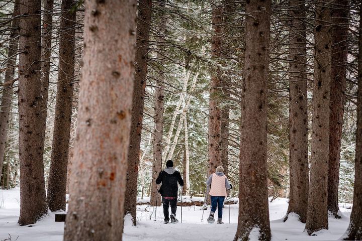 Outdoor Activities 79 of 107