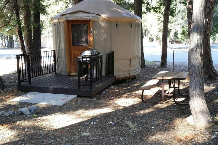 Photo of Snowflower Camping Resort 12 ft. Yurt 9
