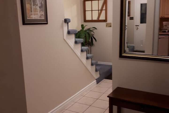 Patricias Place