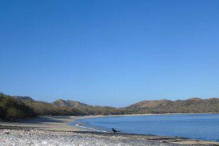 Image of Hotel Jinesta Conchal