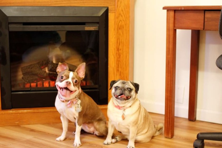 Pet Friendly 44 of 68