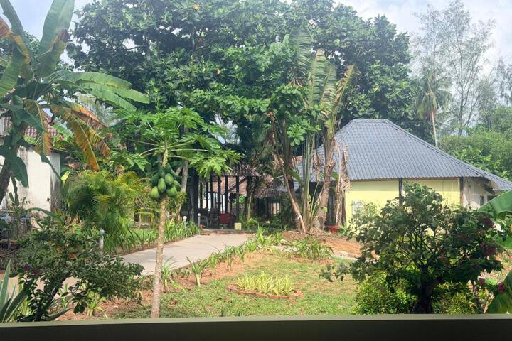 Photo 23