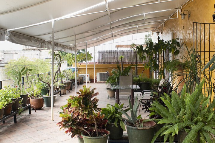 Terrace/Patio 53 of 60