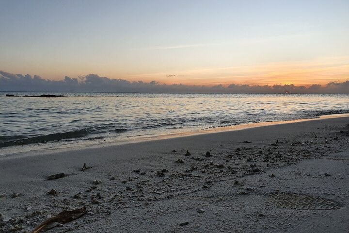 Beach 142 of 211